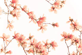 Maybe you would like to learn more about one of these? Mengenal Warna Salem Dan Elemen Yang Terkandung Di Dalamnya