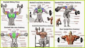 Top 6 Shoulder Workouts Fitness Inspiration Shoulder