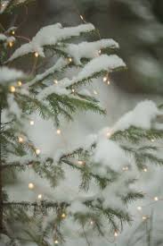 Maybe you would like to learn more about one of these? Lovely And Simple Something Serene About It Christmas Wallpaper Winter Christmas Christmas Phone Wallpaper