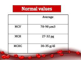 Blood Practical Cbc Esr By Dr Ola Mawlana