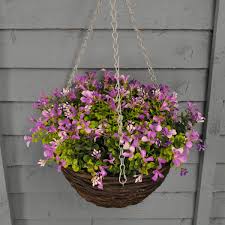 We did not find results for: Lilac Lobelia Fake Hanging Basket The Artificial Flowers Company