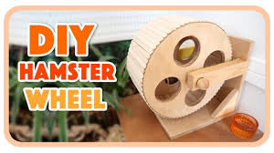 Mar 04, 2021 · diy hamster toy wheels. Wooden Hamster Wheel Tutorial Diyjuly 19 Hamster Hamster Wheel Hamster Diy