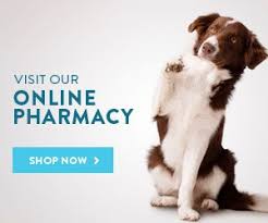 At beaverton pet clinic, our passion is providing your pets with excellent veterinary medical care. Family Pet Clinic Of Newberg Our Family Cares For Your Family