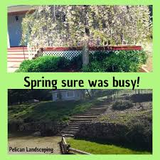 Profile for Pelican Landscaping