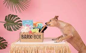 Best boxes for puppies reviews. What Is The Best Subscription Box In Canada Bark