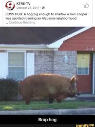 Pin On Funny Big Bang Theory Memes