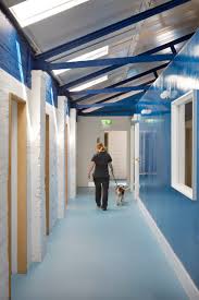 As members of all animals veterinary clinic, our clients are invited to join various clubs and hold a practice loyalty. London Animal Hospital Respects The Age Old Rivalry Between Cats And Dogs