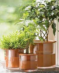 Best Self Watering Solutions For Container Gardens Self Watering Plants Self Watering Pots Self Watering Containers
