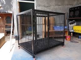 Kandang ayam jago satu pintu terbaik. 9 Model Kandang Ayam Bangkok Sederhana Beserta Gambarnya Beternakdirumah