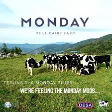 Desa dairy farm is about 100km from kota kinabalu, sabah's state capital. Desa Dairy Farm Sabah Monday Moos Have A Productive Day And Week Ahead Desadairyfarm Mondayblues Farmlife Facebook