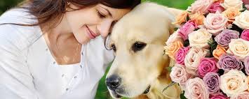 Saad Yousif Ablahad, 69 år, Domherrestigen, RÖNNINGE