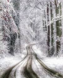 Alternativ Foto Zum Jetzigen Wetter Schulenberger Wald In Hattingen Winter Hattingen Alternativ Foto Zum Jetzigen Wetter S Instagram Instagram Posts Outdoor