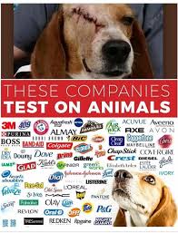 Para aquellos que hacían uso de estas marcas, decirles que se pueden reemplazar y pronto subiré otro blog con marcas que no testean con animales. Activismo Animal On Twitter Stopcruelty Marcas Que Testean Con Animales
