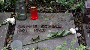 Последние твиты от sophie scholl (@maggiegosia). Fasangarten Weisse Strauchrosen Munchen Sz De