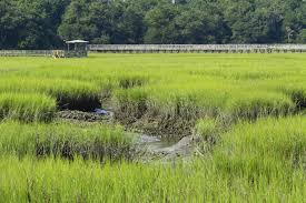 Garden city, south carolina / county Garden City History Things To Do More South Carolina Beaches