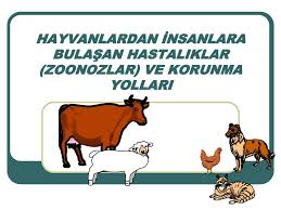 T C Ankara Valiligi Il Saglik Mudurlugu Egitim Sube Mudurlugu Www Ppt Video Online Indir