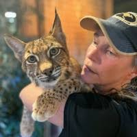 60+ "Schreck" profiles