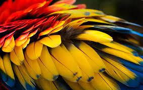 I've been watching videos about art movements throughout the history of photography. Things Designers Need To Know About Colors Naldz Graphics Primary Colors Split Complementary Colors Color Harmony