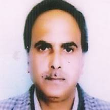 timber #staysafe #brexit