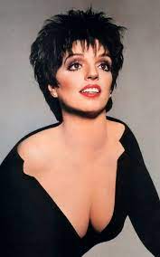 How halston star krysta rodriguez became liza minnelli the actress makes a dazzling transformation in the new netflix series about the life of the fashion designer, premiering may 14. Liza Minnelli Wikipedia