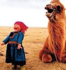 A camel is a horse designed by committee. The Dromedary Effect Design By Committee And The Unitary Patent Hump The Ipkat