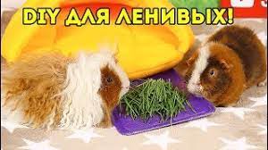 Шаги по созданию домика