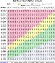 What Is The Body Mass Index Monlab