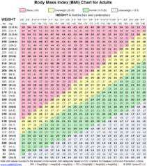 what is the body mass index monlab