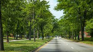 The team allows for our families to volunteer and connect at practices and meets. Ginter Park Historic District The Cultural Landscape Foundation