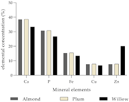 Image result for Agelanthus lugardii
