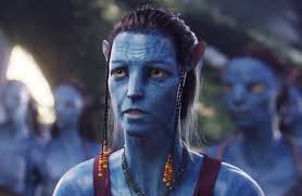 Do you smoke weed?🙂‍↕️