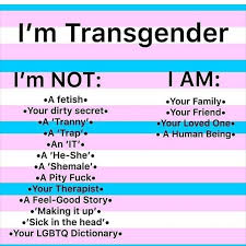 Pin On Trans