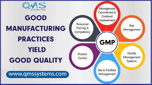 Good Manufacturing Practices Yield Good Quality In 2020 Good Manufacturing Practice Seo Digital Marketing Risk Management