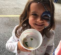 Blueberry Arts Festival booths, events, attract big crowds