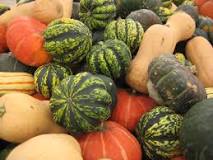 How can you tell if squash is toxic?