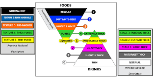 Food And Fluid Terminology Iddsi St Georges University