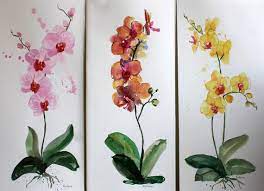 Orchid Watercolor Set Of 3 Original Illustration Floral Painting Flower Wall Art Painting Orchid Flower Gift For Her Pink Orange Yellow Floral Painting Flower Wall Art Flower Painting