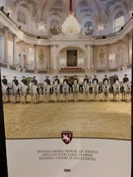 Spanish Riding School Vienna 2019 All You Need To Know