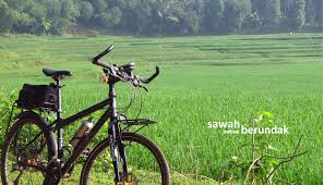 Setelah mobil beredar di hindia belanda, majikan yang punya mobil juga mempekerjakan seorang sopir. Mencari Sawah Berundak Di Bekasi