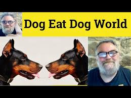 🔵 It's a Dog Eat Dog World Meaning - It's a Dog Eat Dog World Defined -  It's a Dog Eat Dog World - YouTube