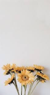 Tumblr Aesthetic Yellow Wallpapers Wallpaper Cave Now that you've chosen a category of tumblr backgrounds that you're interested in, it's as simple as browsing for the pastel tumblr background you're looking for, then following the instructions. tumblr aesthetic yellow wallpapers