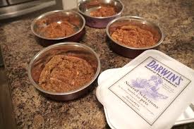 Certain nutrients, including many vitamins and amino acids, are degraded by the temperatures. Happier Healthier Dogs Thanks To Darwin S Natural Pet Food Life With Mutts
