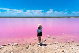 We did not find results for: Best 10 Pink Places In The World Tours4fun