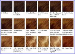 As you will be selecting warm hair colors, select a warm shade of brown like a combination of chestnut brown hair and caramel highlights. Caramel Brown Kolours Hair Color Chart Novocom Top