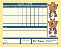 Kids Pet Care Charts Caring For A Guinea Pig Kid Pointz