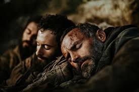 Garden Of Gethsemane Images