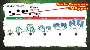 Mixing Marijuana Nutrients E 3 Veg Vs Flower Cannabis Nutrients Buy Grow Book And Equipment Guide