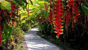 Create an exhilarating tropical retreat outdoors will give the first impression to visitors. California Tropical Garden Ideas California Tropical Garden Ideas Design Ideas And Photos