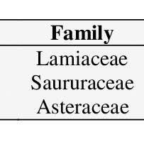 Image result for Fagaropsis