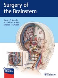 Brainstem special somatic sensory nuclei mediate hearing and positional equilibrium. Neurosurgery Surgery Of The Brainstem